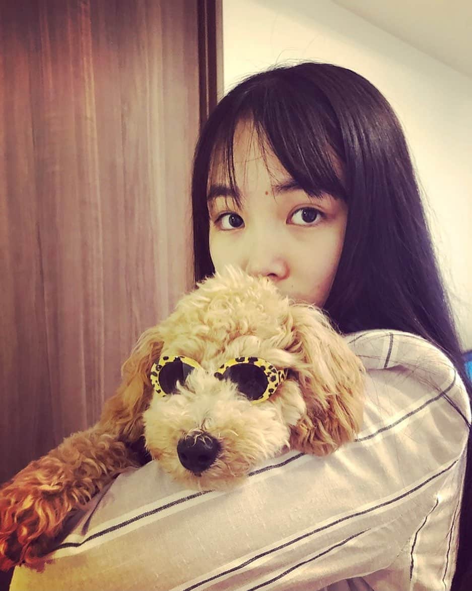 大友樹乃のインスタグラム：「かっこいいね😎🐶  #ぷぷ#大きくなったなぁ #😎」