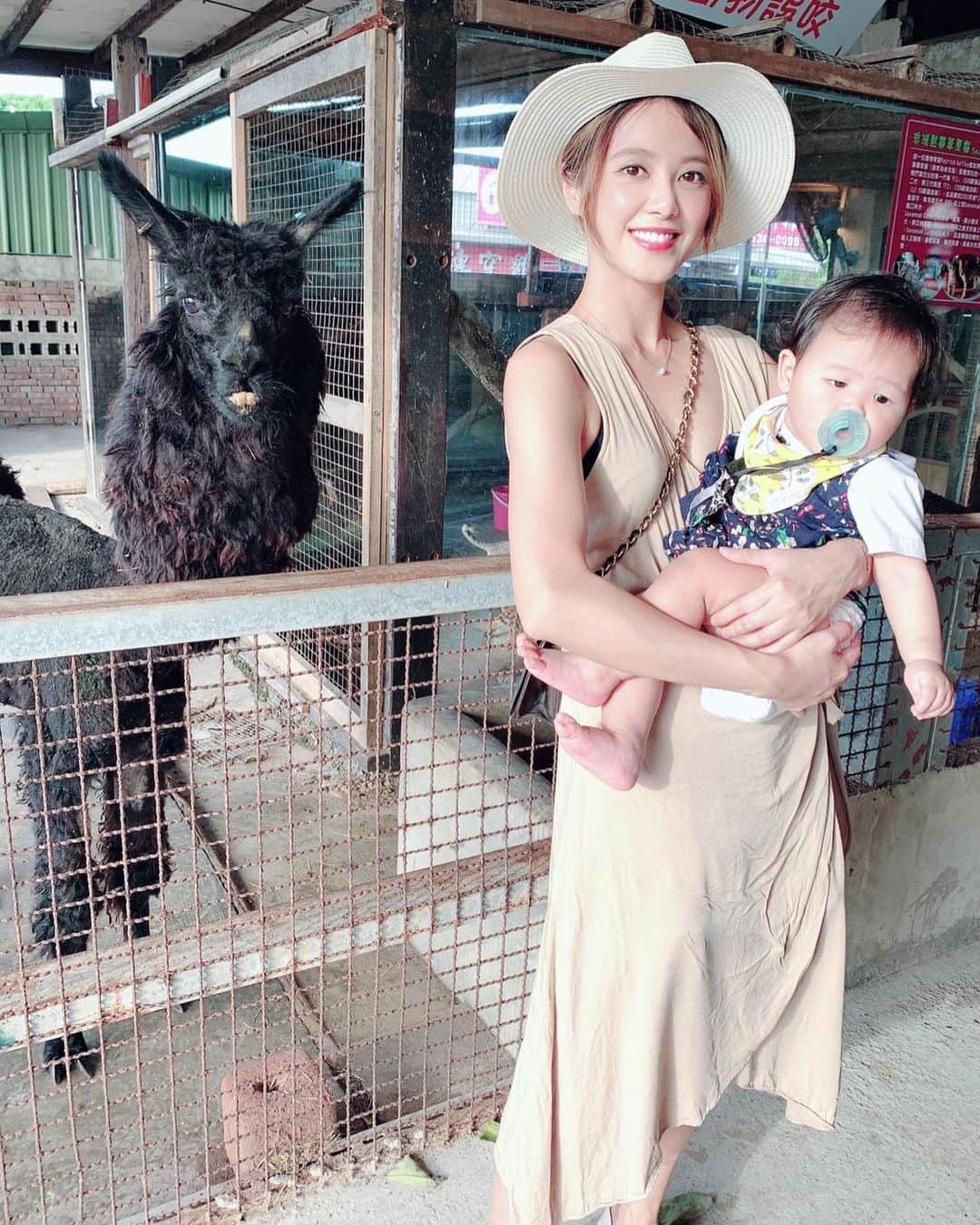 Miaさんのインスタグラム写真 - (MiaInstagram)「來看草泥馬跟小羊❤️ #爆牙草泥馬 #活潑的小羊 #小朋友可以餵動物 #這天的雲真美 #北海岸夕陽好美😌  #北海岸跑透透🥳」7月8日 21時35分 - mia06120612wgs