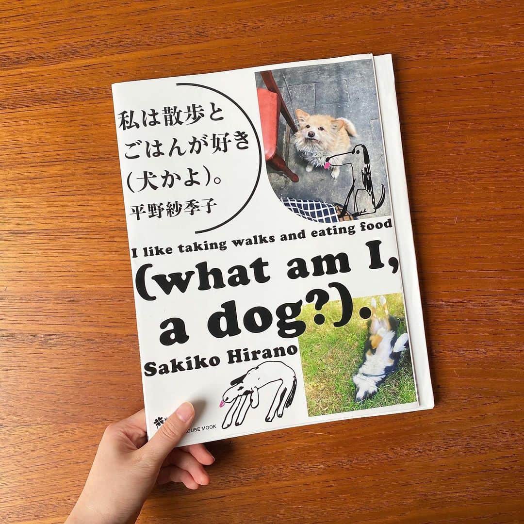 平野紗季子さんのインスタグラム写真 - (平野紗季子Instagram)「🌼本が出ます🌼 雑誌Hanakoにて4年間連載してきた「私は散歩とごはんが好き(犬かよ)。」が一冊の本になりました🐕🎊 ひたすら歩いて食べて撮って書いた街の記録たち。徒歩の速度でなければ見落としたはずの印象的なシーンはたくさんあって、その連なりが自分だけの地図を作ってきました。ジャンプしないと届かない自販機、年中無休のおでんスタンド、地下駐車場の奥に忽然と現れる中華料理店、ベッドでアイスを食べるのにはまってるおばあちゃん、レジにシガールをこっそり入れてる紅茶屋のおじさん、星を見上げて一服するタクシー運転手さん。まばたきすれば消えてしまう愛しい瞬間を引き伸ばして留めたくてコツコツ書きました。 遠くの旅に出れなくても、歩くという最も等身大で控えめな移動手段でこんなにも遠くまで行けること。時々めいっぱい自分を見失えたりすること。自分の常識なんて簡単に崩れ去ること。誰かの普通に驚きながら出会うこと。錯綜と混在が極まった東京の時空の歪みを徒歩でまたいでいくときの、あの、あやういくらいの高揚感。それら全部ぎゅっと誌面に落とし込んでくれたのは服部一成さん。カラフルで変てこで世にも不思議な散歩の本ができました。ぜひお手に取っていただけたら嬉しいです🐕🌼発売は7月15日、各オンライン書店での予約も開始されてます🌼 #犬かよ本」7月8日 21時34分 - sakikohirano
