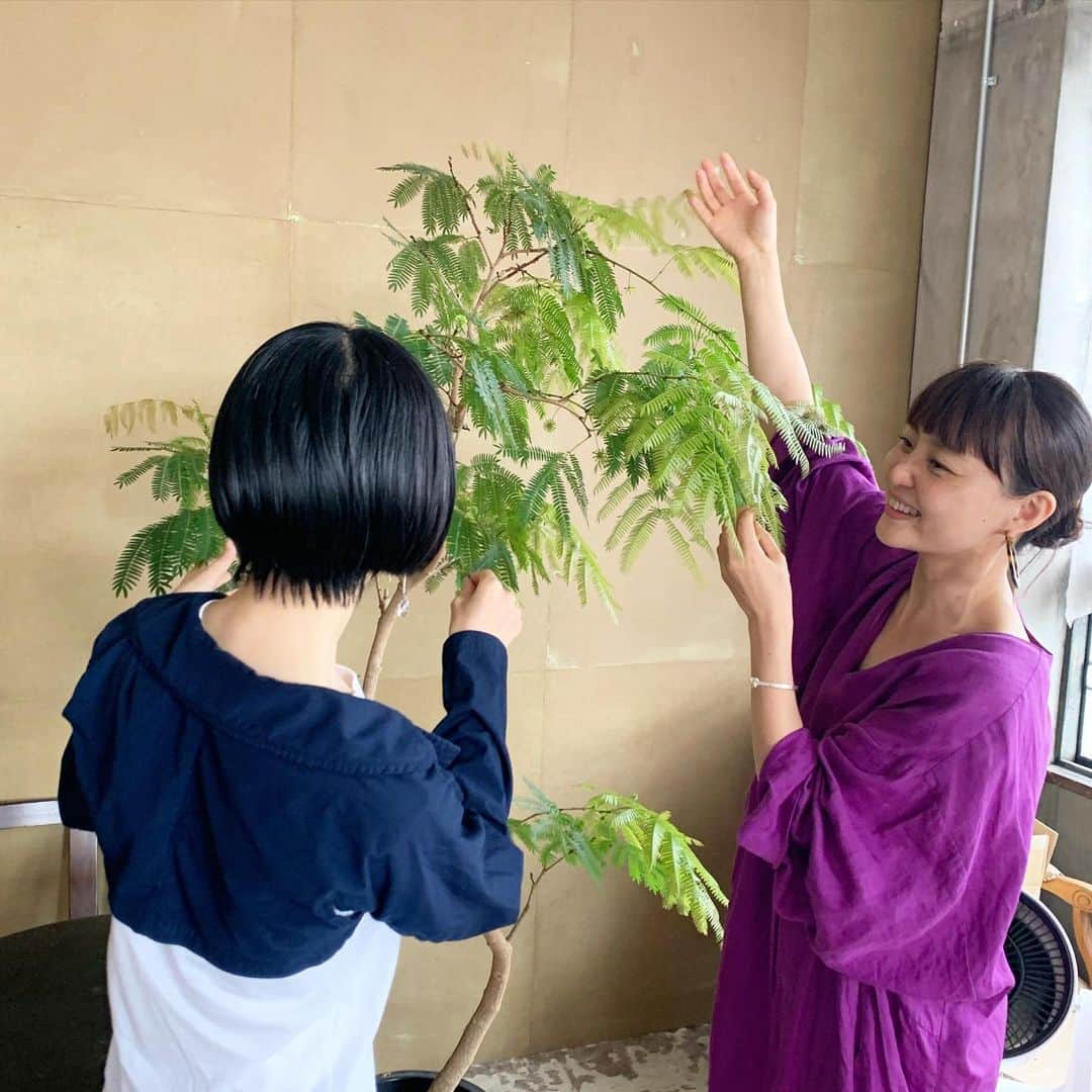 青山有紀さんのインスタグラム写真 - (青山有紀Instagram)「盆栽研究家の仁美ちゃん　@gendaibonsai がこれからアトリエに迎え入れる植物探しを手伝ってくれました💚山の家の庭づくりも相談させてもらってて、植物のことをいろいろ教えてもらいながらデート🍀☘️🌿🌱🌵ありがとう💚」7月8日 21時35分 - yukiaoya