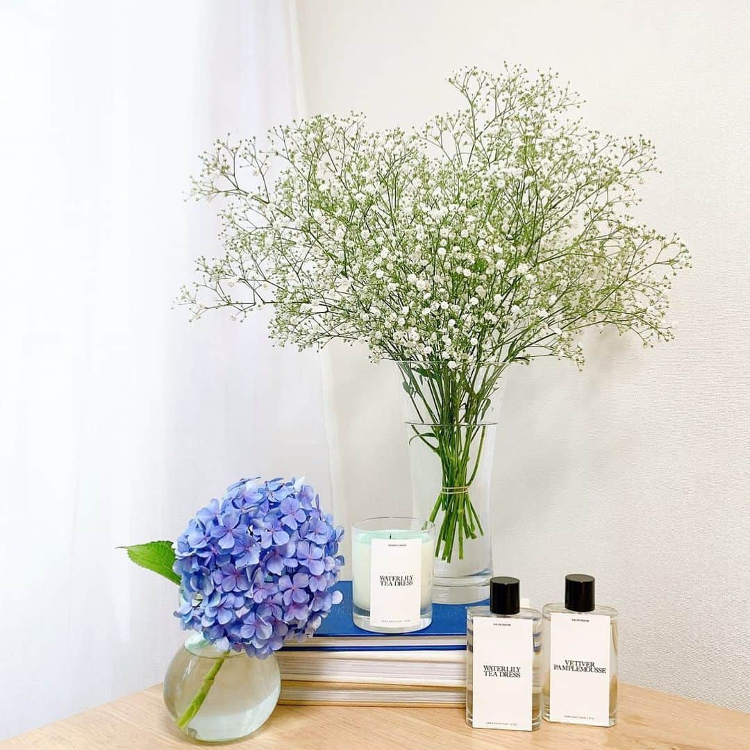 Sayakaのインスタグラム：「* 偶然通りかかったお花屋さんで、 お手頃なお値段になっていたかすみ草🤍  まずは、まとめて飾ってみたけど ドライにして着色しようか、 リースやスワッグしてみようか…と あれこれ妄想してる時間も楽しい☺️💓 . . #flowers #flowerstagram #flowerlovers #floweroftheday #hydrangea #babysbreath #sayakasflower #カスミソウ #かすみ草 #あじさい #紫陽花 #花のある暮らし  #花のある生活」