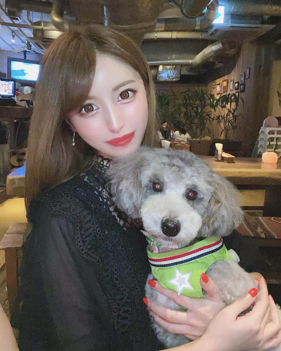 SAYAさんのインスタグラム写真 - (SAYAInstagram)「. ととまる君💕 かわいすぎ🐶🧡 . . #トイプードル #犬 #ボンダイカフェ #広尾  #instagram #instagood  #instalike #dog #cafe」7月8日 22時30分 - sayapi0110