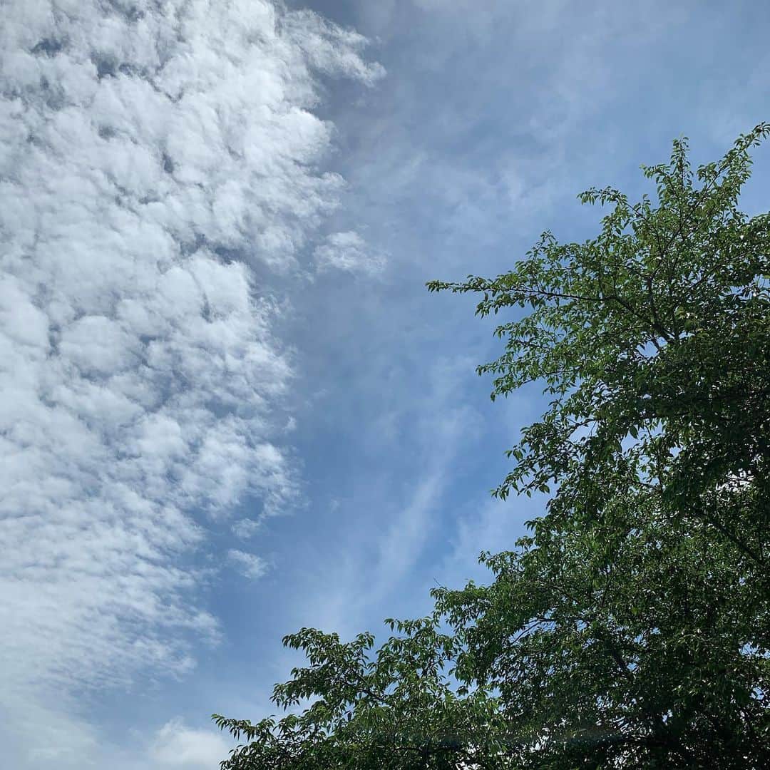 美城れんのインスタグラム：「今日は…今日、雨の合間に少し青空が見えた✨写真を…  まだまだ雨が降る予報… これ以上色々な被害が増えませんように…🙏🙏🙏🙏🙏🙏🙏✨ 今日も全てに感謝😌✨🙏✨ mahalo🌈」
