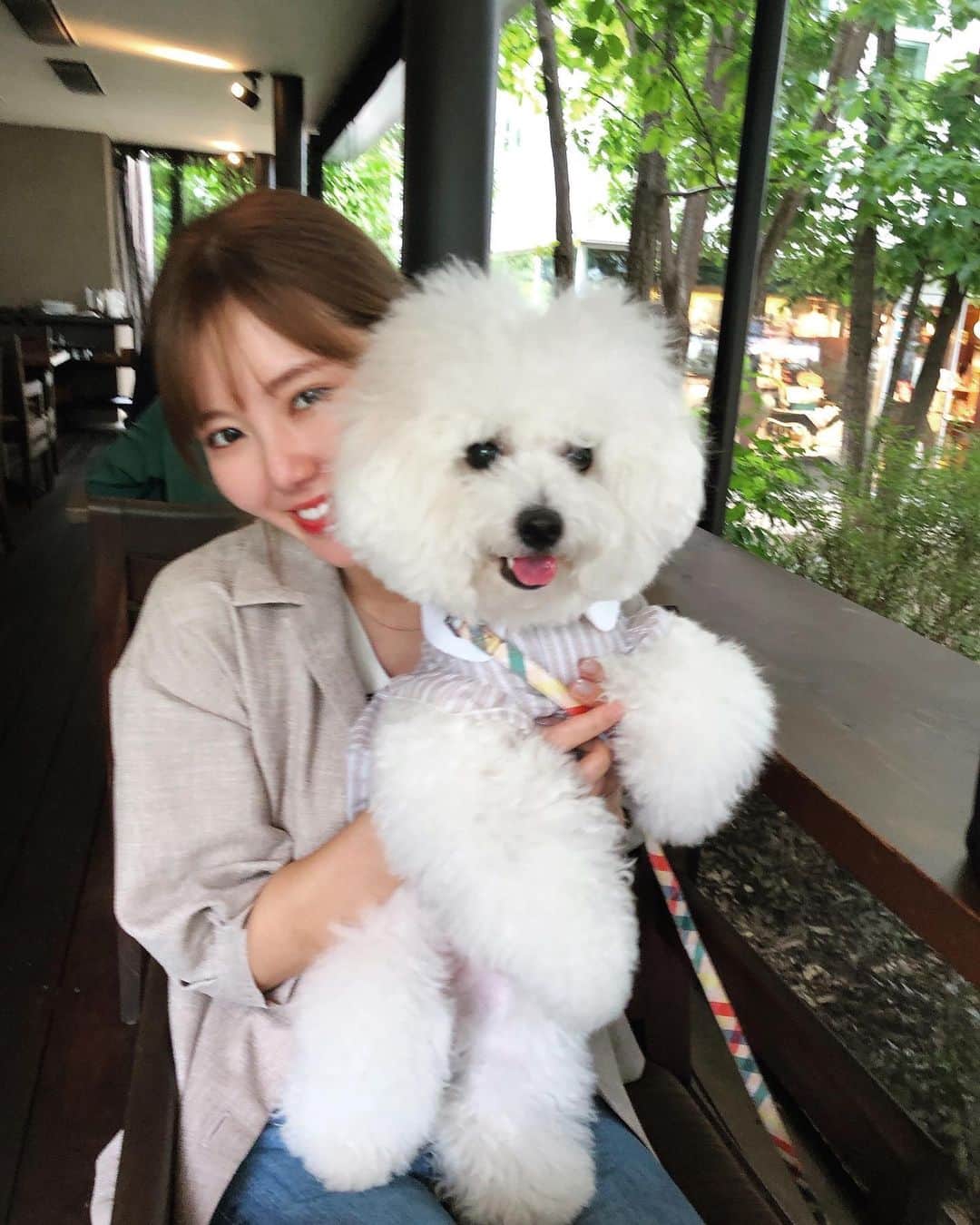 金子栞のインスタグラム：「🤎🤎🤎  #bichonfrise#gn」