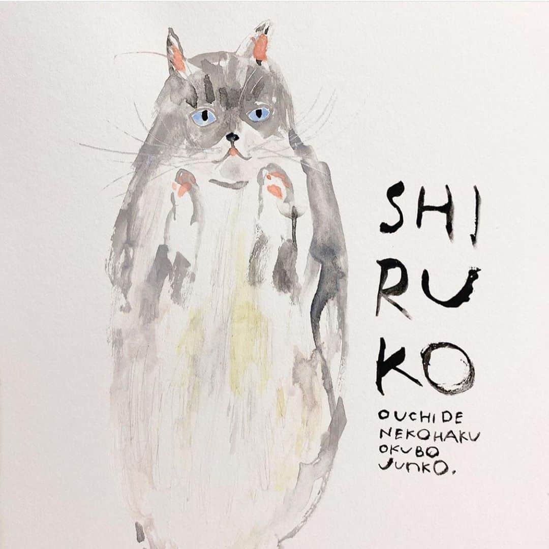 しるこさんのインスタグラム写真 - (しるこInstagram)「😸おうちで猫博😸 しるこを描いていただきました😻  #Repost @uchinonekohaku with @make_repost ・・・ ・ 【おうちで猫博🚩オンライン原画展🚩No.25】 しるこ/shiruko(6歳のメス) ・ ※sold out ✳︎✳︎✳︎✳︎✳︎✳︎✳︎✳︎✳︎✳︎✳︎✳︎✳︎✳︎✳︎✳︎✳︎✳︎✳︎✳︎✳︎✳︎✳︎ 『おうちで猫博』 今年はおうちでも猫博をお楽しみいただけるよう、Instagramで原画をご紹介しております！ ※おびやまち店のみ下記の日程で原画を展示しております。 《原画展日程》 ●前期 2020.6.26(金) 〜7.26(日) ●後期 2020.7.28(火) 〜8.26(水) ✳︎✳︎✳︎✳︎✳︎✳︎✳︎✳︎✳︎✳︎✳︎✳︎✳︎✳︎✳︎✳︎✳︎✳︎✳︎✳︎✳︎✳︎✳︎ ・ ・ #ペーパーメッセージ #papermessage #okubojunko#うちの猫博 #猫 #猫博 #猫フェア #猫イベント #ねこ #ネコ #ねこ部  #猫グッズ #cat#ilovecat #にゃんこ #ニャンスタグラム #猫スタグラム #にゃんスタグラム #猫好き#ねこら部 #ねこのいる生活 #ねこのいる暮らし #ねこグッズ #ネコグッズ  #ねこちゃん#おうちで猫博#原画」7月8日 22時55分 - shirukotan