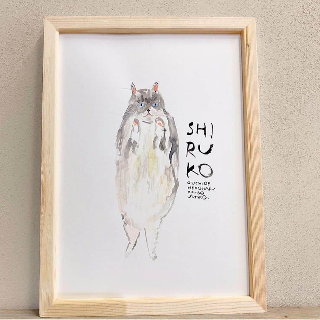 しるこさんのインスタグラム写真 - (しるこInstagram)「😸おうちで猫博😸 しるこを描いていただきました😻  #Repost @uchinonekohaku with @make_repost ・・・ ・ 【おうちで猫博🚩オンライン原画展🚩No.25】 しるこ/shiruko(6歳のメス) ・ ※sold out ✳︎✳︎✳︎✳︎✳︎✳︎✳︎✳︎✳︎✳︎✳︎✳︎✳︎✳︎✳︎✳︎✳︎✳︎✳︎✳︎✳︎✳︎✳︎ 『おうちで猫博』 今年はおうちでも猫博をお楽しみいただけるよう、Instagramで原画をご紹介しております！ ※おびやまち店のみ下記の日程で原画を展示しております。 《原画展日程》 ●前期 2020.6.26(金) 〜7.26(日) ●後期 2020.7.28(火) 〜8.26(水) ✳︎✳︎✳︎✳︎✳︎✳︎✳︎✳︎✳︎✳︎✳︎✳︎✳︎✳︎✳︎✳︎✳︎✳︎✳︎✳︎✳︎✳︎✳︎ ・ ・ #ペーパーメッセージ #papermessage #okubojunko#うちの猫博 #猫 #猫博 #猫フェア #猫イベント #ねこ #ネコ #ねこ部  #猫グッズ #cat#ilovecat #にゃんこ #ニャンスタグラム #猫スタグラム #にゃんスタグラム #猫好き#ねこら部 #ねこのいる生活 #ねこのいる暮らし #ねこグッズ #ネコグッズ  #ねこちゃん#おうちで猫博#原画」7月8日 22時55分 - shirukotan