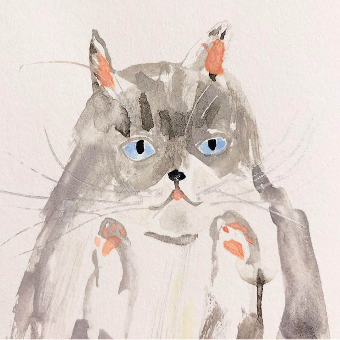 しるこさんのインスタグラム写真 - (しるこInstagram)「😸おうちで猫博😸 しるこを描いていただきました😻  #Repost @uchinonekohaku with @make_repost ・・・ ・ 【おうちで猫博🚩オンライン原画展🚩No.25】 しるこ/shiruko(6歳のメス) ・ ※sold out ✳︎✳︎✳︎✳︎✳︎✳︎✳︎✳︎✳︎✳︎✳︎✳︎✳︎✳︎✳︎✳︎✳︎✳︎✳︎✳︎✳︎✳︎✳︎ 『おうちで猫博』 今年はおうちでも猫博をお楽しみいただけるよう、Instagramで原画をご紹介しております！ ※おびやまち店のみ下記の日程で原画を展示しております。 《原画展日程》 ●前期 2020.6.26(金) 〜7.26(日) ●後期 2020.7.28(火) 〜8.26(水) ✳︎✳︎✳︎✳︎✳︎✳︎✳︎✳︎✳︎✳︎✳︎✳︎✳︎✳︎✳︎✳︎✳︎✳︎✳︎✳︎✳︎✳︎✳︎ ・ ・ #ペーパーメッセージ #papermessage #okubojunko#うちの猫博 #猫 #猫博 #猫フェア #猫イベント #ねこ #ネコ #ねこ部  #猫グッズ #cat#ilovecat #にゃんこ #ニャンスタグラム #猫スタグラム #にゃんスタグラム #猫好き#ねこら部 #ねこのいる生活 #ねこのいる暮らし #ねこグッズ #ネコグッズ  #ねこちゃん#おうちで猫博#原画」7月8日 22時55分 - shirukotan