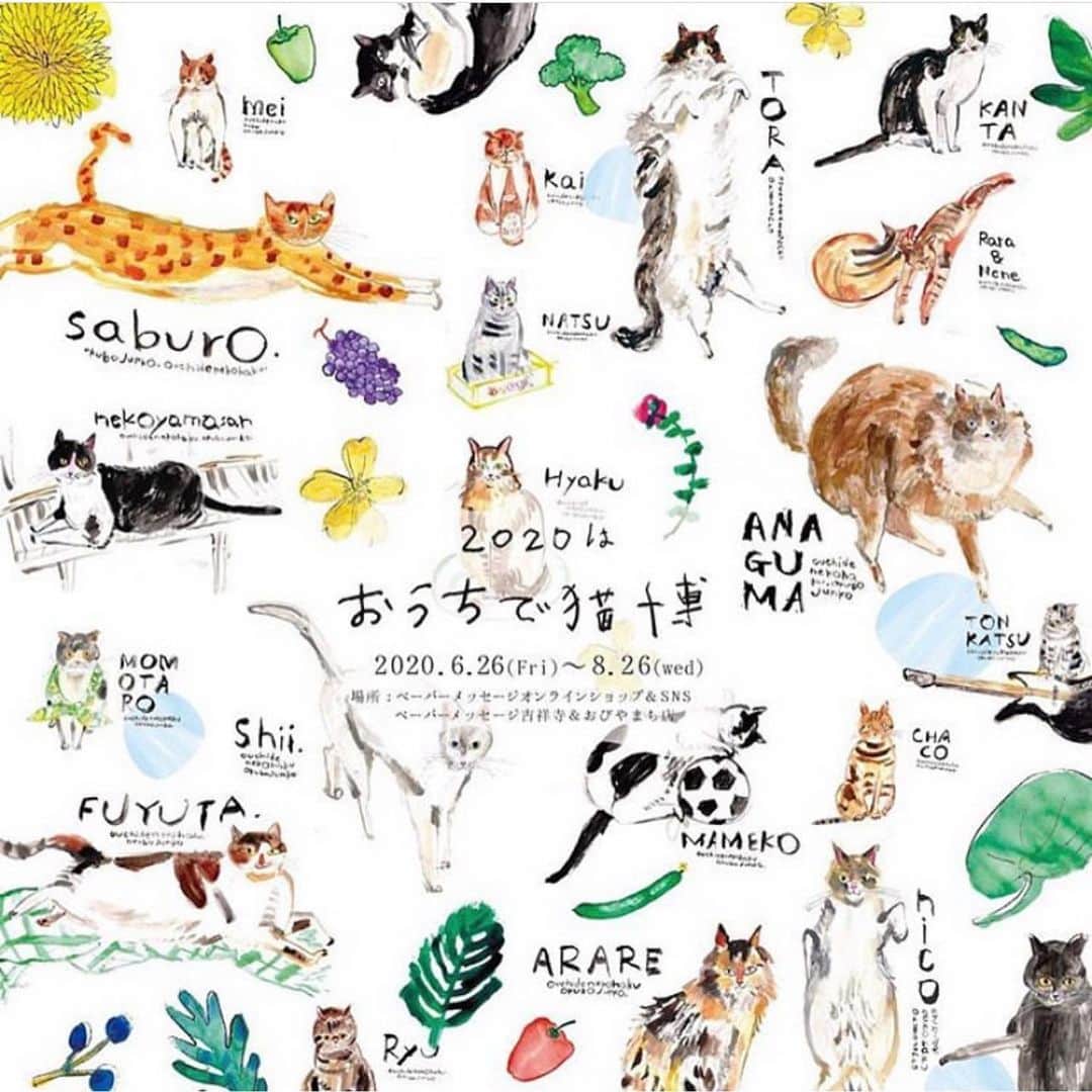 しるこさんのインスタグラム写真 - (しるこInstagram)「😸おうちで猫博😸 しるこを描いていただきました😻  #Repost @uchinonekohaku with @make_repost ・・・ ・ 【おうちで猫博🚩オンライン原画展🚩No.25】 しるこ/shiruko(6歳のメス) ・ ※sold out ✳︎✳︎✳︎✳︎✳︎✳︎✳︎✳︎✳︎✳︎✳︎✳︎✳︎✳︎✳︎✳︎✳︎✳︎✳︎✳︎✳︎✳︎✳︎ 『おうちで猫博』 今年はおうちでも猫博をお楽しみいただけるよう、Instagramで原画をご紹介しております！ ※おびやまち店のみ下記の日程で原画を展示しております。 《原画展日程》 ●前期 2020.6.26(金) 〜7.26(日) ●後期 2020.7.28(火) 〜8.26(水) ✳︎✳︎✳︎✳︎✳︎✳︎✳︎✳︎✳︎✳︎✳︎✳︎✳︎✳︎✳︎✳︎✳︎✳︎✳︎✳︎✳︎✳︎✳︎ ・ ・ #ペーパーメッセージ #papermessage #okubojunko#うちの猫博 #猫 #猫博 #猫フェア #猫イベント #ねこ #ネコ #ねこ部  #猫グッズ #cat#ilovecat #にゃんこ #ニャンスタグラム #猫スタグラム #にゃんスタグラム #猫好き#ねこら部 #ねこのいる生活 #ねこのいる暮らし #ねこグッズ #ネコグッズ  #ねこちゃん#おうちで猫博#原画」7月8日 22時55分 - shirukotan