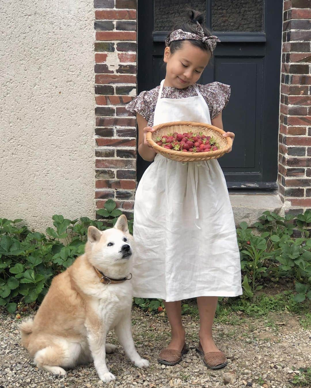 フィロとポンポンのインスタグラム