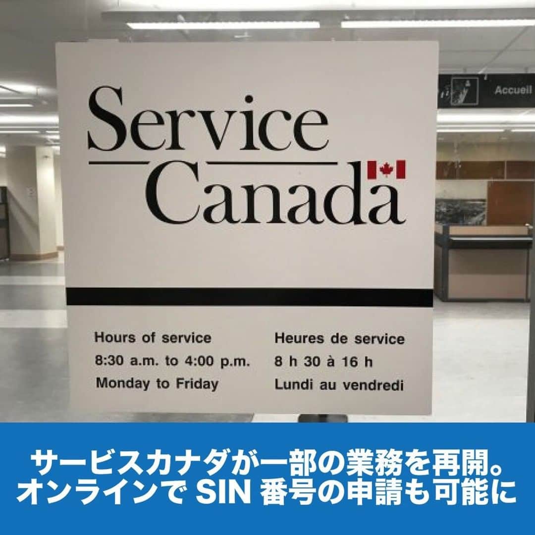 LifeTorontoさんのインスタグラム写真 - (LifeTorontoInstagram)「【速報】サービスカナダが一部の業務をカナダ全土で再開したことを発表しました。また、オンラインでSIN番号の申請が可能となりました。 👉@lifetoronto.jpのプロフィールに記載 URLのリンク先から記事をチェックください。⁠ .⁣⠀⁠ .⁣⠀⁣⠀﻿⁠ .⁣⠀⁣⠀﻿⁠ .⁣⠀⁠ #新型コロナウィルス #コロナ対策 #政府支援 #カナダ企業 #カナダ永住権 #カナダ #トロント #トロントライフ #トロント生活 #トロント在住 #カナダ生活 #カナダ在住 #カナダライフ #海外生活 #海外暮らし #海外移住 #英語 #留学#海外留学 #トロント留学 #カナダ留学 #ワーホリ#ワーキングホリデー #カナダワーホリ #トロントワーホリ #ワーホリトロント #ワーホリカナダ #海外就職 #駐在 #カナダ好きな人と繋がりたい」7月9日 0時01分 - lifetoronto.jp