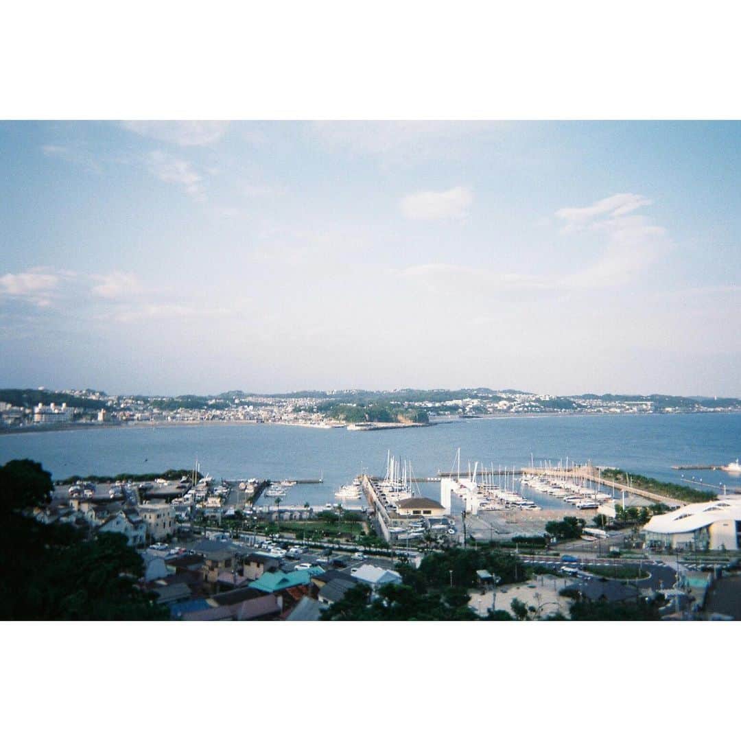 今井利奈さんのインスタグラム写真 - (今井利奈Instagram)「. . #film#letter#shes #写ルンです #鎌倉#北鎌倉#江ノ島#明月院#紫陽花#散歩」7月9日 0時03分 - _rina_imai