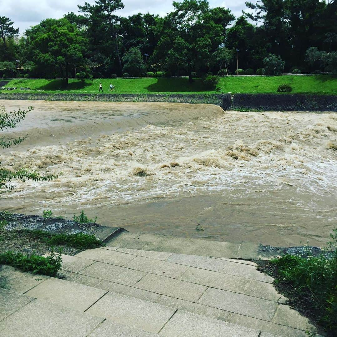 岸田繁さんのインスタグラム写真 - (岸田繁Instagram)「濁流」7月9日 0時19分 - kishidashigeru