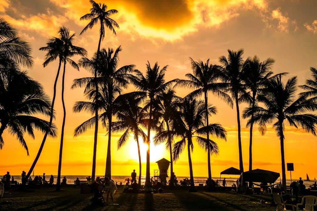 Prince Waikikiさんのインスタグラム写真 - (Prince WaikikiInstagram)「Nothing like a summer sunset in Waikiki #PrinceWaikiki」7月9日 11時46分 - princewaikiki