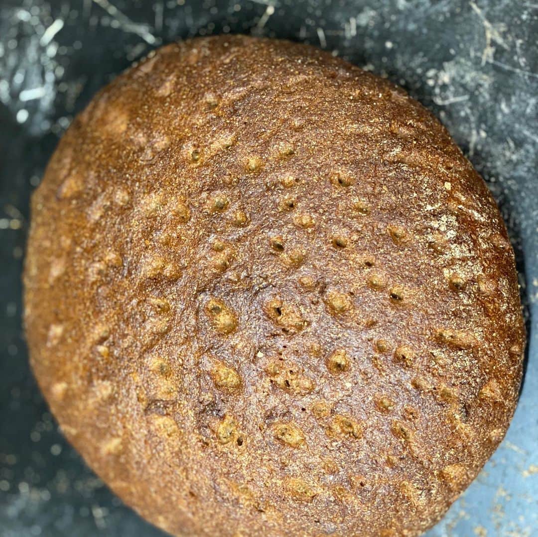 魔女菅原のグルメインスタ