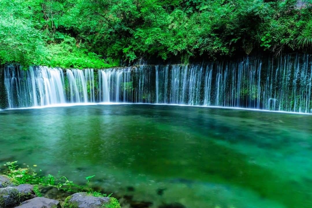 THE GATEさんのインスタグラム写真 - (THE GATEInstagram)「【 Shiraito Falls// #Nagano 】 Shiraito Falls in the city of Karuizawa is one of the many "Shiraito Falls" throughout Japan.  l This one in Nagano prefecture is one of the most famous of its kind.  l Though it only measures 3 meteres high, it is 70 meters in width.  l The water flowing from up top is groundwater, and is flowing 365 days a year regardless of the weather.  l Visit in May and June for the fresh green leaves, and come back in autumn for the fall foliage. . ————————————————————————————— ◉Adress Yamanouchicho Shiga Kogen Hasuike, Karuizawa-machi, Kitasaku-gun, Nagano ————————————————————————————— THE GATE is a website for all journeys in Japan.  Check more information about Japan. →@thegate.japan . #Japan #view #travel #exploring #visitjapan #sightseeing #ilovejapan #triptojapan #japan_of_insta #療癒 #instagood #粉我 #赞 #travelgram #instatravel #unknownjapan #instagramjapan #instaday #freshgreen #鲜绿色 #신록 #bundokph #kalilkasan #Hapon #alamsemulajadi #jepun #mendakigunung #mountaineering #shiraitofalls」7月9日 12時00分 - thegate_travel