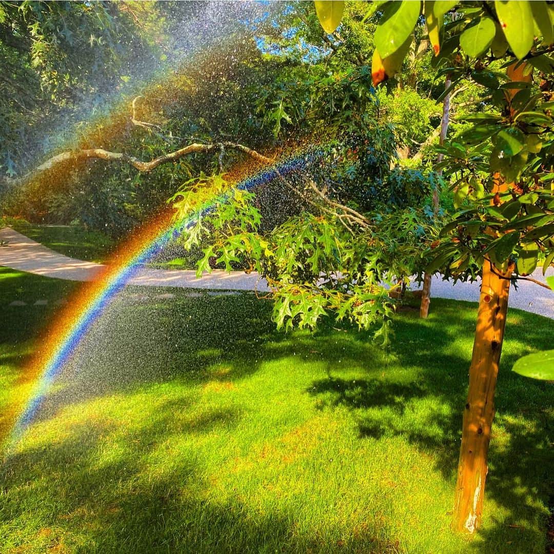 クリスティ・ブリンクリーさんのインスタグラム写真 - (クリスティ・ブリンクリーInstagram)「Everyone could use a little magic and miracles... that’s where flowers and rainbows come in. Hope these give you a smile 🌼🌸🌺🌻🌈☀️⛅️ for more garden magic check out my stories 🧚🏼towerhillfarm #brinkleyfarm #victorygarden #familyfarm #organicgarden #love」7月9日 3時10分 - christiebrinkley