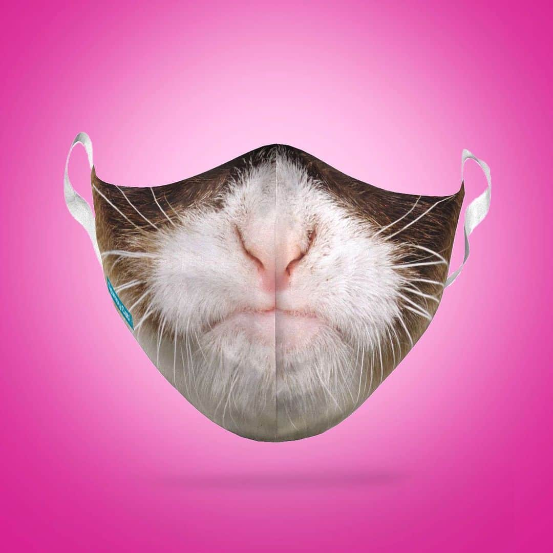 Grumpy Catさんのインスタグラム写真 - (Grumpy CatInstagram)「NOW SHIPPING WORLDWIDE 🌎!!! Official Grumpy Cat protective face coverings! Designed for comfort and convenience, these non-medical masks are reusable & machine-wash friendly. Designed for maximum comfort with a dual layer construction featuring a non-medical protective outer polyester shell & a super soft cotton interior lining.  Available in Adult Large, Adult Small, and Youth sizes to ensure the perfect fit. Get yours here: https://grumpy.cat/FaceCoverings (Link in Bio)  #grumpycat #facemask #facecover #facecovering #facecoverings」7月9日 3時56分 - realgrumpycat