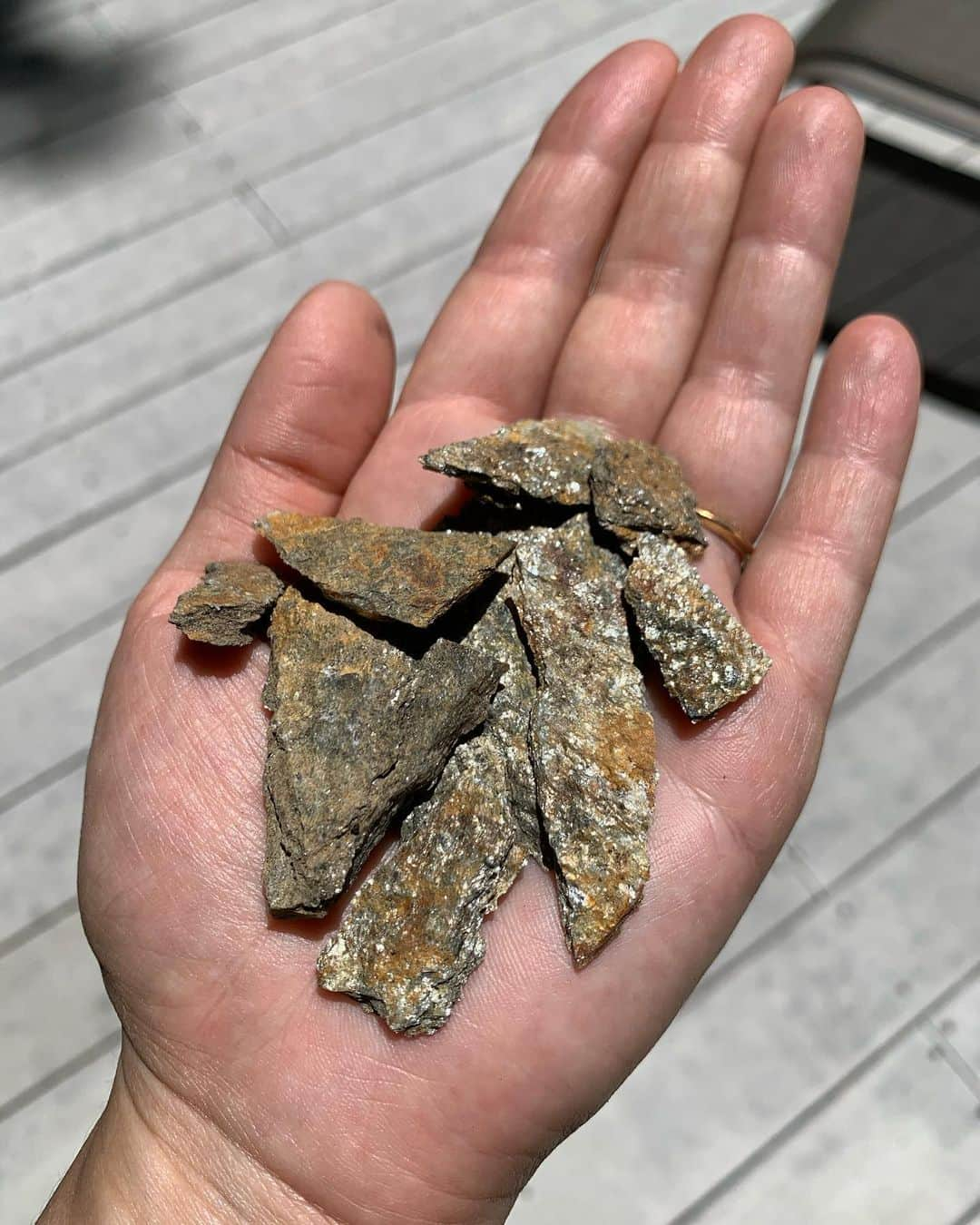 OLIVIAのインスタグラム：「I found some silvery mica right in front of our doorstep of where we’re staying here in Yosemite!!! 😍🌈😍🌈😍🌿 #mica #yosemitenationalpark」