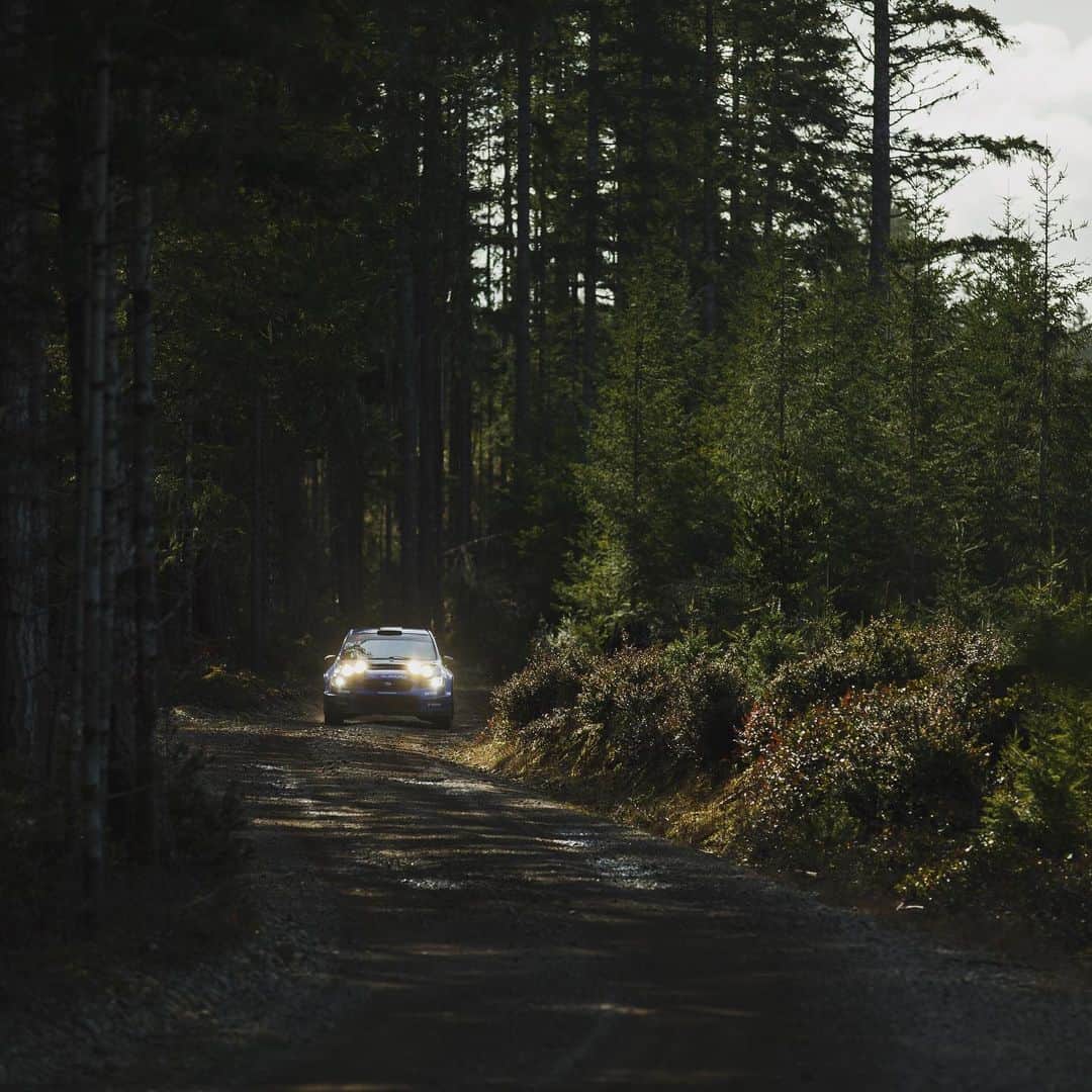 Subaru Rally Team USAさんのインスタグラム写真 - (Subaru Rally Team USAInstagram)「🌲The woods are where we want to be. #SubaruRally @travispastrana @brandonsemenuk @subaru_usa @vermont.sportscar」7月9日 6時13分 - subarumotorsportsusa