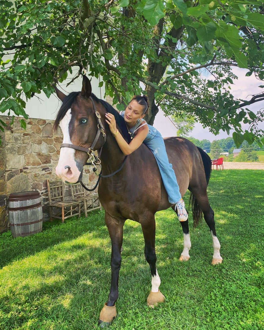 ベラ・ハディッドさんのインスタグラム写真 - (ベラ・ハディッドInstagram)「My fearless son after my morning coffee and his morning bath. So grateful for this animal . Loves an adventure」7月9日 6時45分 - bellahadid