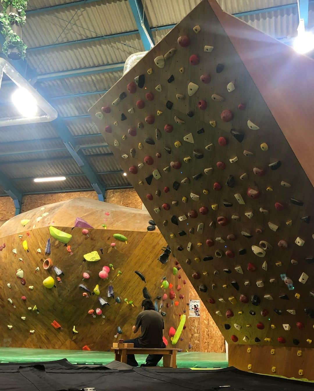 北脇順子さんのインスタグラム写真 - (北脇順子Instagram)「@cactusclimbingpark  It was lit🔥  Moon boardめっちゃ楽しかった！☺︎  #カクタス#クライミング#ボルダリング#ムーンボード#climbing #bouldering#moonboard」7月9日 7時17分 - ringohime0803