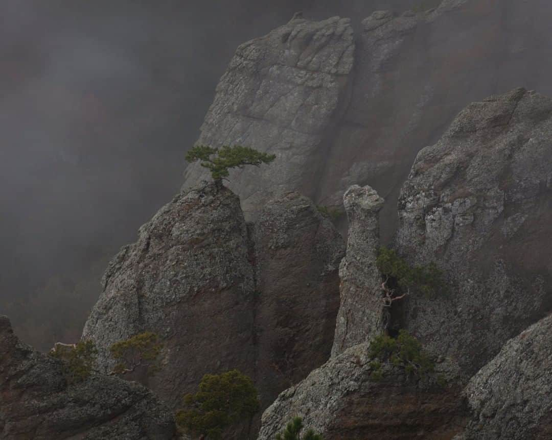 ナショナルジオグラフィックさんのインスタグラム写真 - (ナショナルジオグラフィックInstagram)「Photo by @gerdludwig  Mount Demerdzhi near Alushta, in Crimea, is known for its pile of enormous rocks and a slope covered with strange outcroppings in an area called the Valley of the Ghosts. @thephotosociety #Crimea #Alushta #MtDemerdzhi」7月9日 7時36分 - natgeo