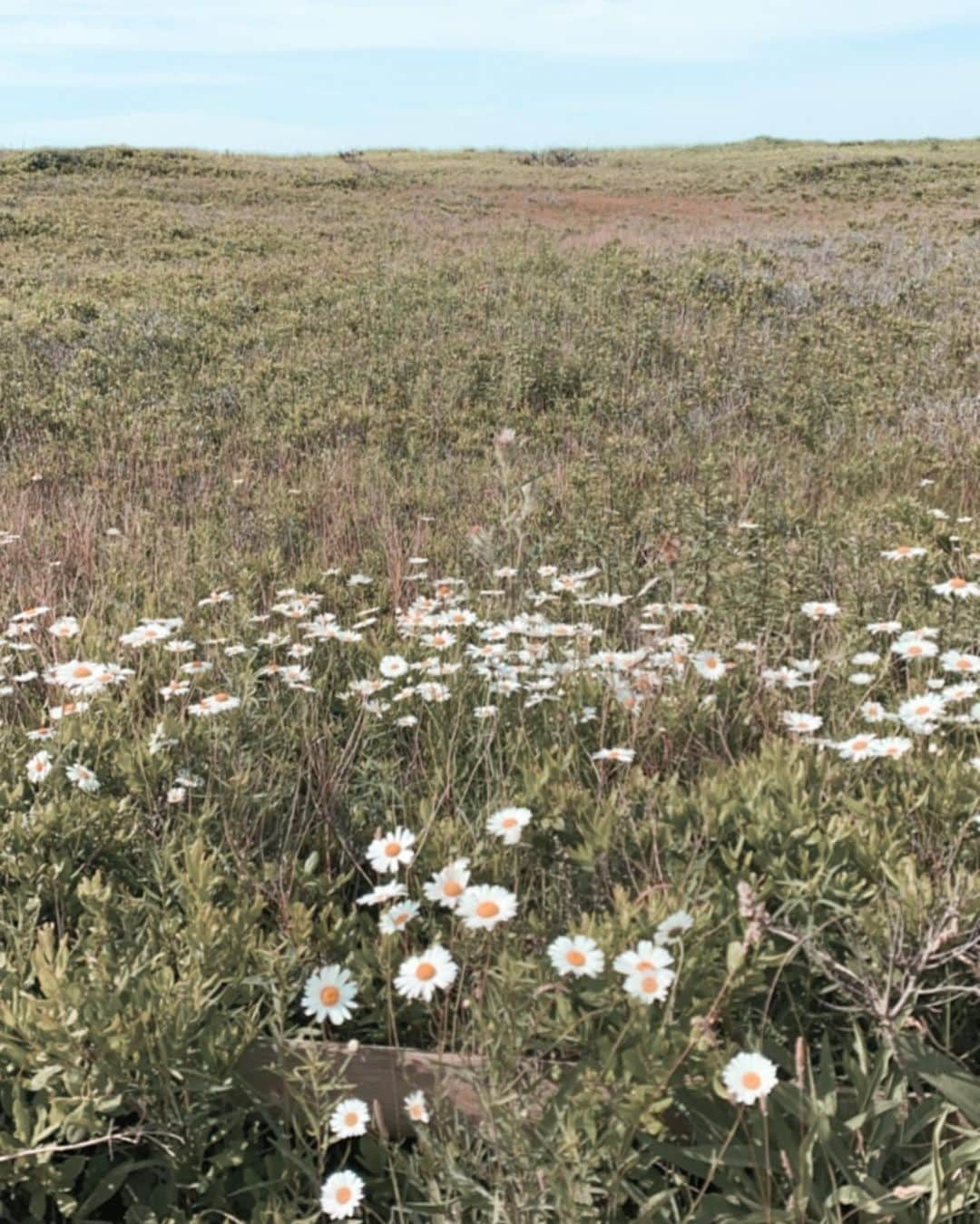 アシュリー・ワグナーさんのインスタグラム写真 - (アシュリー・ワグナーInstagram)「Stop! Breathe. You are doing just fine. Don’t be too hard on yourself. Appreciate the good things you’ve got going on ✨」7月9日 8時37分 - ashwagner2010