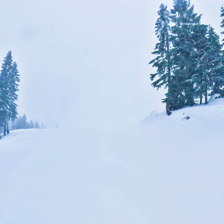 カルロス・ブーザーのインスタグラム：「Since Summer Travel Plans Are Limited... Making Snowboarding Plans... Where Should We Shred This Year? #HOLDAT 🎥: @mitch.sayers」