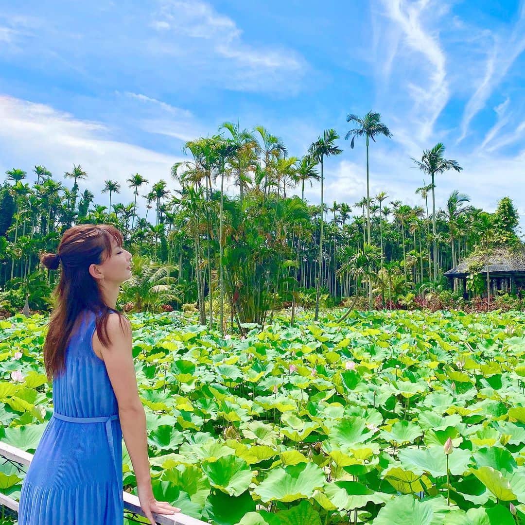 中谷あすみのグルメインスタ