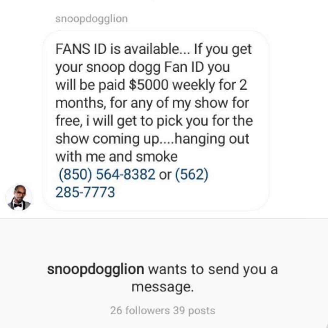 スヌープ・ドッグさんのインスタグラム写真 - (スヌープ・ドッグInstagram)「FAKE PAGE ALERT @snoopdogglion_fanspage1 DONT FALL 4 THA BULLSHIT」7月9日 9時51分 - snoopdogg