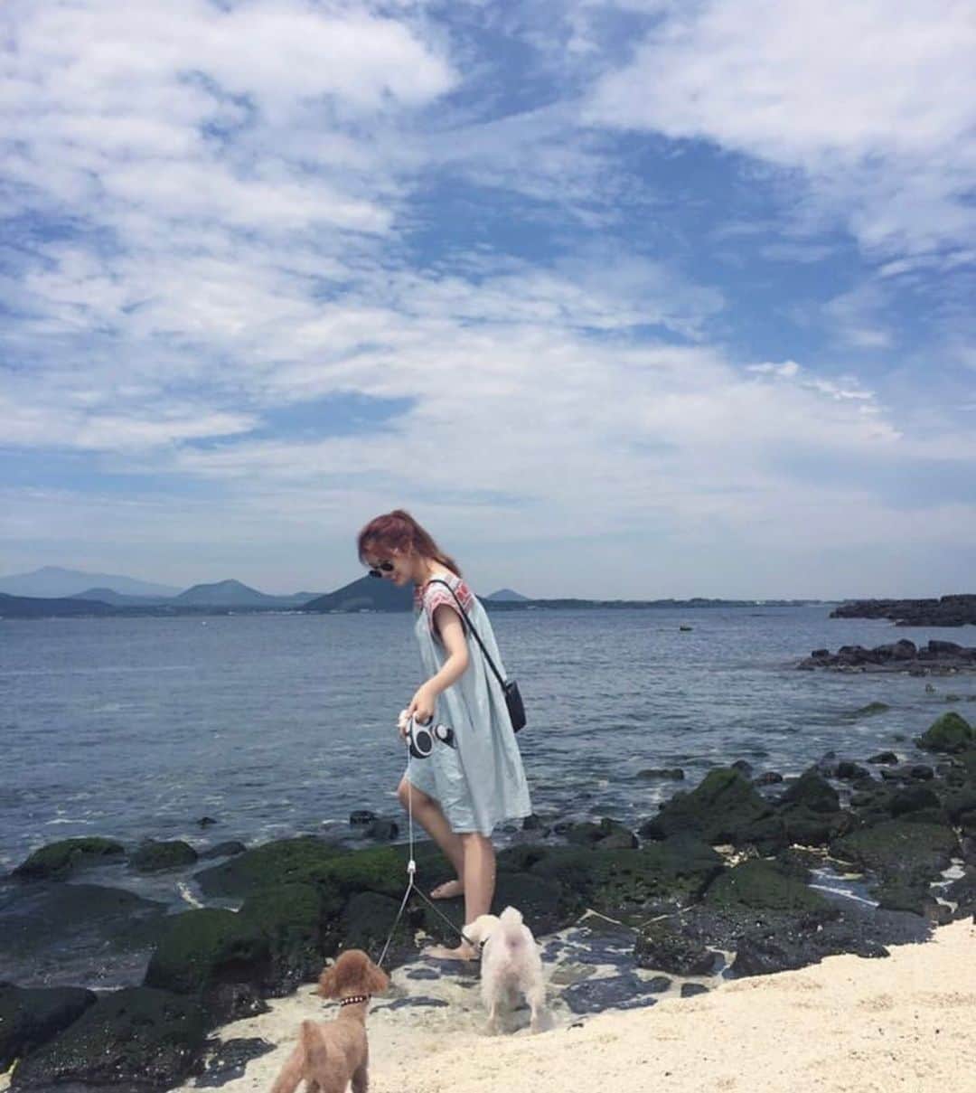 チョン・ユネ さんのインスタグラム写真 - (チョン・ユネ Instagram)「떠나고 싶다아 #멍멍이 #여행 #추억 #제주도 🌿🥽🐳」7月9日 10時00分 - yoonhye.chung