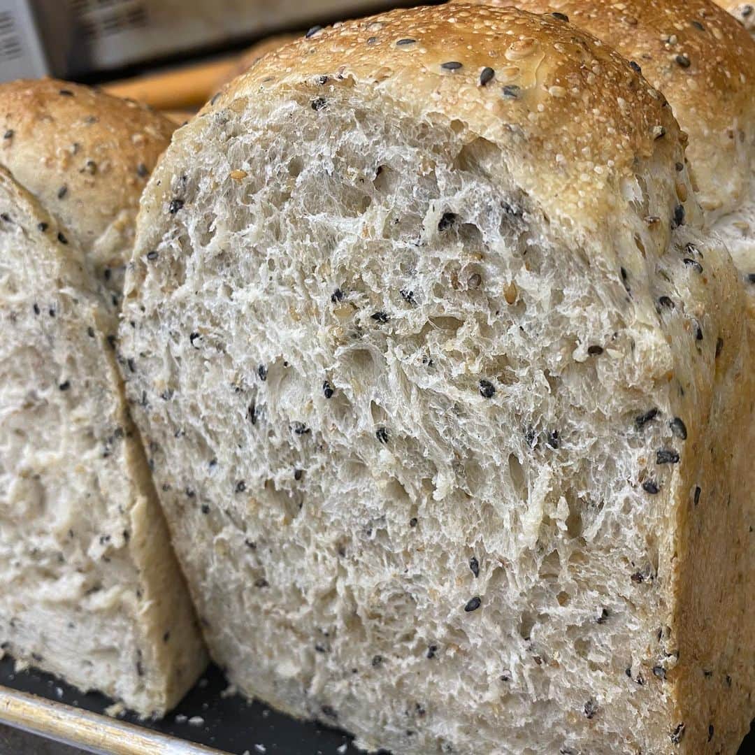 魔女菅原のグルメインスタ