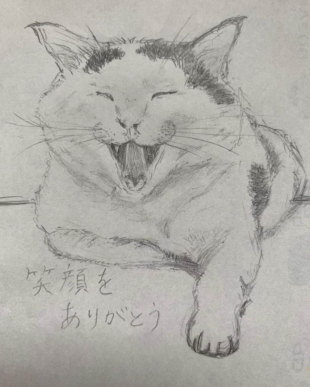 Kachimo Yoshimatsuさんのインスタグラム写真 - (Kachimo YoshimatsuInstagram)「IGAさんが、描いてくれました。 この時、ヨウカンさん？って思いました。 ありがとうございました。  #うちの猫ら #nanakuro #ナナクロの絵 #yohkan ##ヨウカンさん似 #猫 #ねこ #cat #ネコ #catstagram #ネコ部 http://kachimo.exblog.jp」7月9日 10時12分 - kachimo