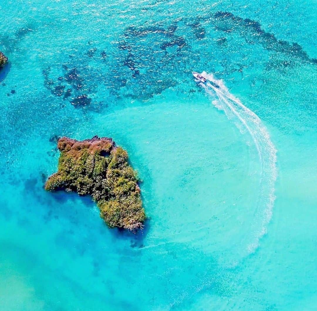 Costa Sunglassesのインスタグラム：「Cosmoledo blues. 📷: @keithroseinnesflyfishing @alphonsefishingco #SeeWhatsOutThere #BornOnTheWater」