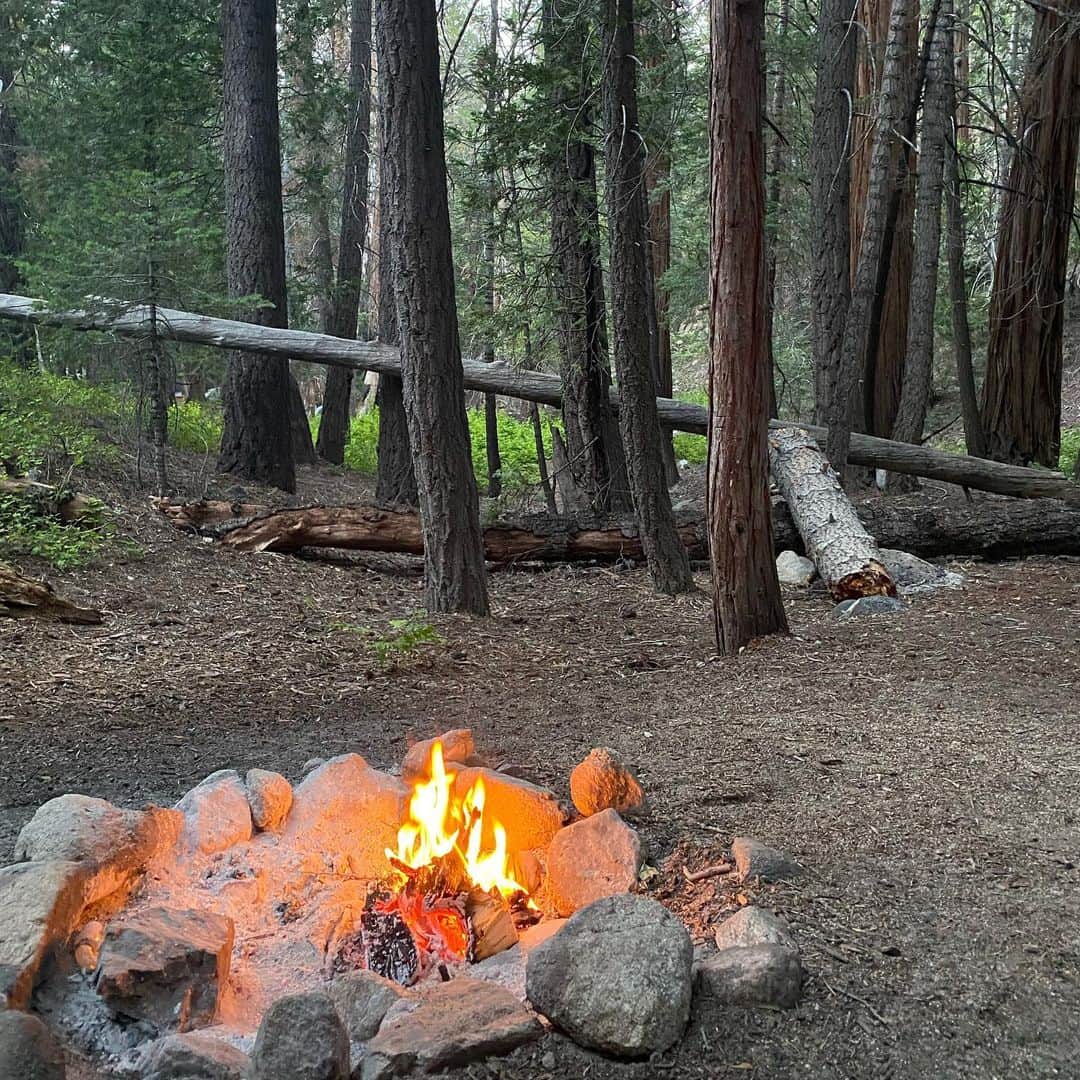 イリー・リーさんのインスタグラム写真 - (イリー・リーInstagram)「Camping in the woods. Bear ate our dinner while we went to falls. #bearcountry #soundsofnature #camping #백팩킹 #backpacking #캠핑  need a caddie lol」7月24日 5時04分 - ilheelee