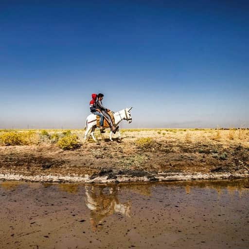 のインスタグラム：「AFP Photo 📷 @delilsouleiman - Youths ride together on a donkey past a stream polluted by an oil spill near the village of Sukayriyah, in the countryside south of Rumaylan (Rmeilan) in Syria's Kurdish-controlled northeastern Hasakeh province, on July 19, 2020. Oil pollution in Syria has become a growing concern since the 2011 onset of a civil war that has taken a toll on oil infrastructure and seen rival powers compete over control of key hydrocarbon fields. In the Kurdish-held northeast, a large storage facility in the Rmeilan oil field in Hasakeh province is of particular concern, with leaks from the Gir Zero storage facility have been suspected since at least 2014, and the latest just in March 2020.」