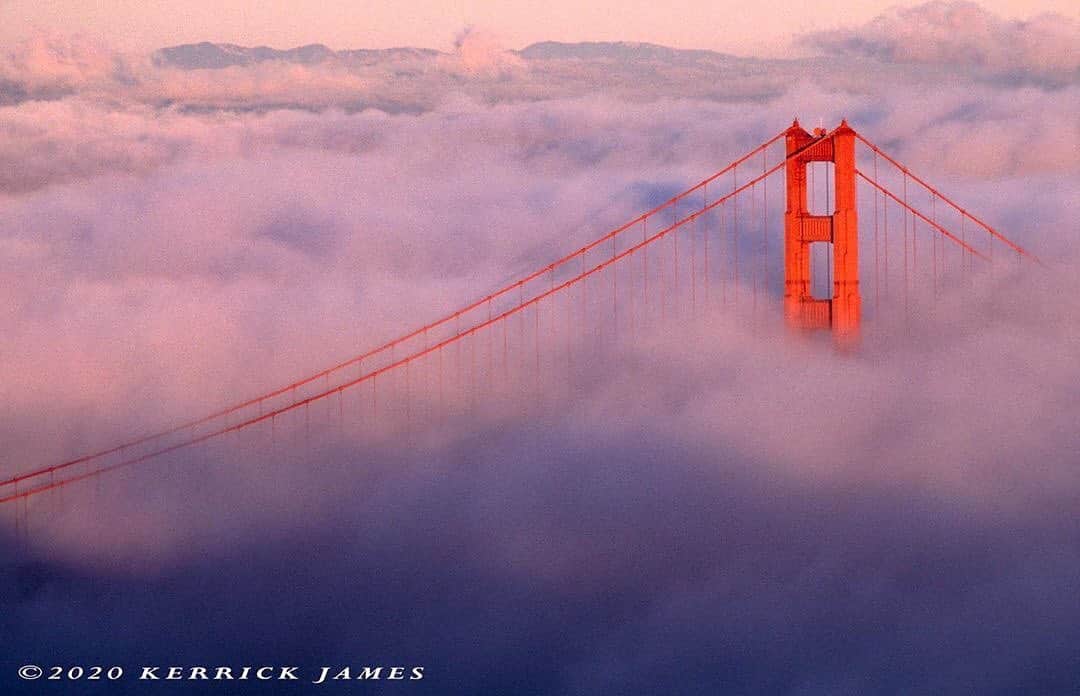 Ricoh Imagingのインスタグラム：「Posted @withregram • @kerrickjames5 ‘The fog comes in  on little cat feet.  Poem by Carl Sandburg  Shot with Pentax PZ-1P. #ricohusa #ricoh #ricohimaging #pentaxiansunite」