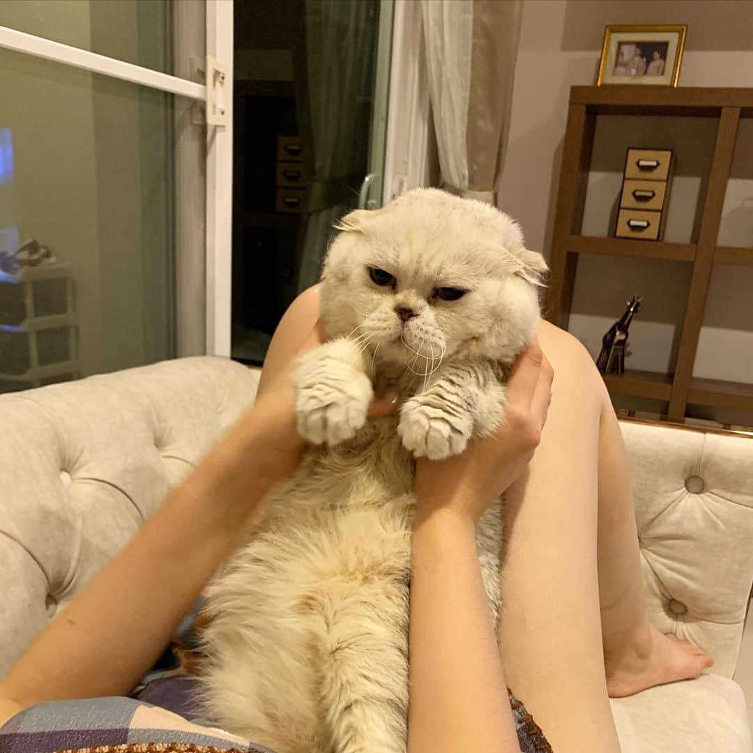 Haruのインスタグラム