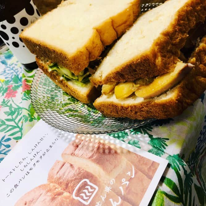 世手子さんのインスタグラム写真 - (世手子Instagram)「Enjoy consecutive holidays with high-quality bread from Oita Prefecture🍞 I still can't drink but i ordered beer(*´>∀<`*)ｷｬﾊｯ Living in Tokyo is hard, but have a good holiday✨ https://toyonokuni.shop/ @toyonokunishop  地元 #大分県 が恋しくなって #うれしたのし豊の国 #高級食パン #しらしんけんパン をお取り寄せ∩^ω^∩ 「 #しらしんけん 」っちな #大分弁で、すごいとか、めっちゃとか言う意味なんよぉ（＾ν＾） 最近怖くて外出してないので💦 #味比べ が楽そうだったので #しんけん玄米パン も頼んだよ(^_^*) しらしんけんパンは洋風にキャベツとハムの #サンドイッチ (*^◯^*) #玄米パン は和風に #魚サンド した🐟 どちらもパンに味がしっかりしてるので美味しかった٩(๑❛ᴗ❛๑)۶ また大分にかえりたくなったよぉぉ｡ﾟ(ﾟ´Д｀ﾟ)ﾟ｡ なんとこの大分が誇る #お取り寄せパン は #雑誌掲載商品 でした(^_-) 『 #女性自身 』に先日掲載されたんだって(^O^) しんけんいいパンやな(^_^) トーストしても甘味がよくて美味しかった(*´∇｀*) 卵、はちみつ不使用で #三温糖 が使われてるのは素晴らしい(^-^)v #贅沢なひととき でした(^_^)  まだ飲めないけど @rococotokyo #メゾンロココ  #ROCOCOTokyoWHITE が、ただ今、期間限定特別販売を実施中！だったので #お取り寄せ(*´ω`*) 年内には #授乳 終える予定なのでこれから楽しみ(#^.^#) まだまだ #stayathome な雰囲気だけど おうちで連休楽しみます♪(*^^)o∀*∀o(^^*)♪ #大分県民 #別府グルメ #別府 #大分グルメ #大分パン屋 #大分パン #お取り寄せグルメ #お取り寄せできます」7月23日 22時10分 - rojide