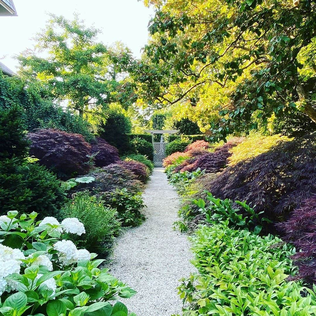 マーサ・スチュワートさんのインスタグラム写真 - (マーサ・スチュワートInstagram)「Soak in this view from Lily Pond Lane, @marthastewart48’s East Hampton home that features surrounding paths lined with trees, lush greenery, and the latest blooms growing from her gardens. 🌿 #regram via @marthastewart48」7月23日 22時18分 - marthastewart