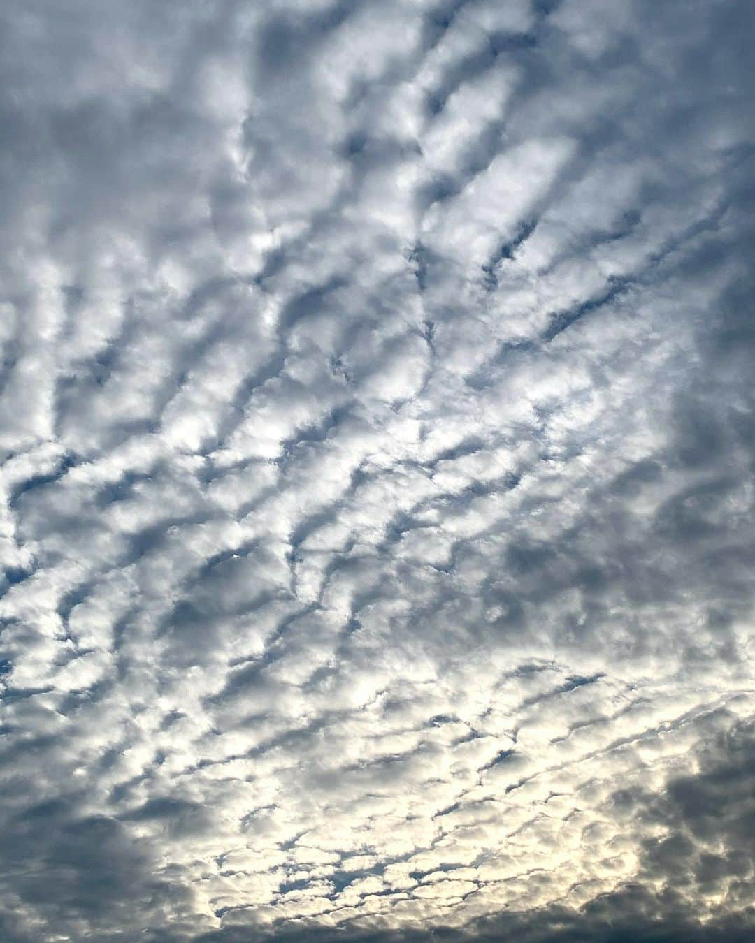 浦川望美さんのインスタグラム写真 - (浦川望美Instagram)「#鱗雲」7月23日 22時28分 - noz_omi