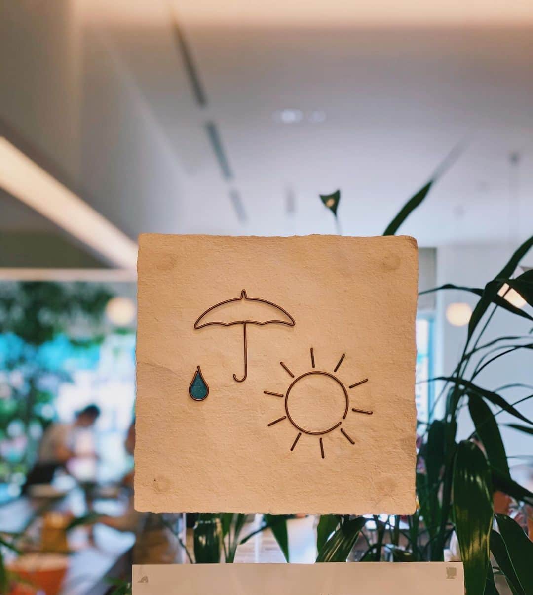 伊藤沙菜のグルメインスタ