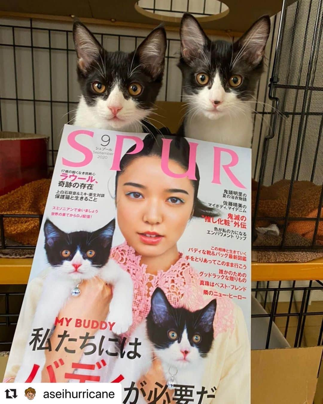 SPURさんのインスタグラム写真 - (SPURInstagram)「#Repost @aseihurricane ・・・ 有名なお二方にお会いできました。 #雑誌とかで見るより #実物の方がシュッとしてた #クールなイメージあったけど #実際会うと気さくな方で #もっとファンになりました #兆猛丹猛 #捨て猫 #保護猫 #月末に玉取り」7月23日 22時41分 - spurmagazine