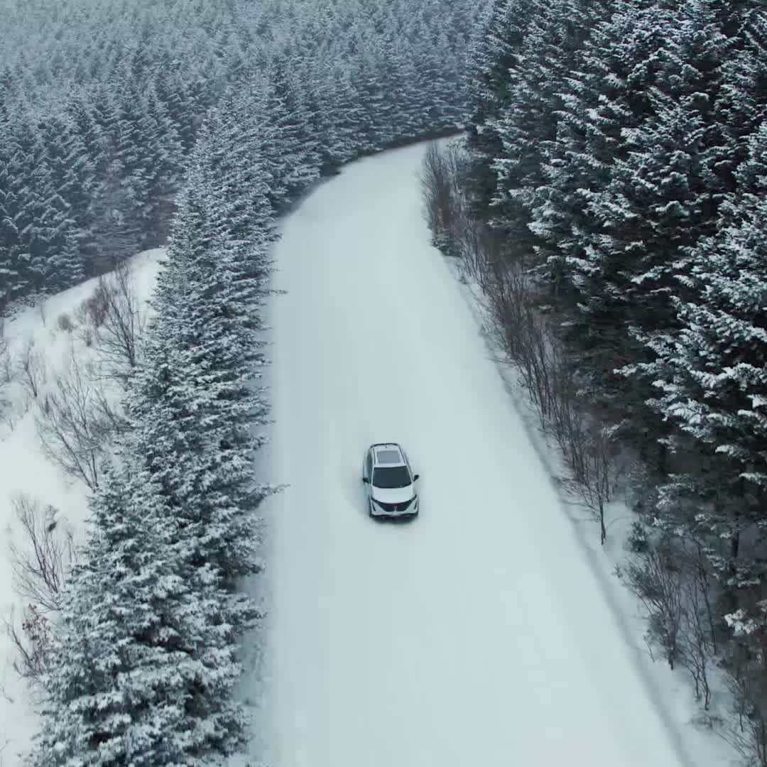 Nissan USA Official Instagram accountのインスタグラム：「Never out of season. #NissanAriya #ElectricVehicle」