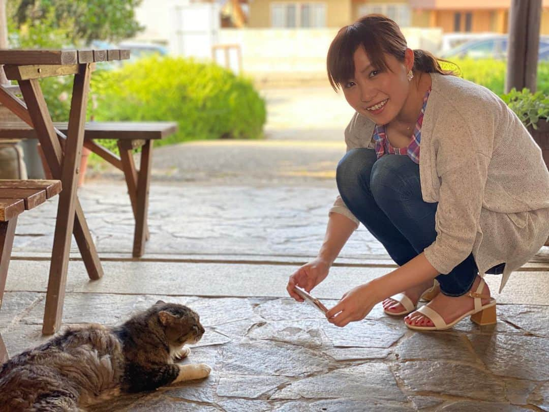 南條早紀さんのインスタグラム写真 - (南條早紀Instagram)「猫とさきちゃん🐈🐾 （“ねことじいちゃん”的なね） . . iPhoneのポートレート機能すごい📸 . . #写真 #iPhone #ポートレート #撮影 #ポートレート撮影 #猫 #ネコ #ねこ #ねこ飼いたい #ごろにゃん #可愛い #癒し #カフェ #cafe #看板猫 #夢中 #でれでれ #被写体 #カメラマン #上手い #妹 #さすが #アナウンサー #南條早紀 #photo #picture #japan #japanesegirl」7月23日 23時12分 - nanjo_saki