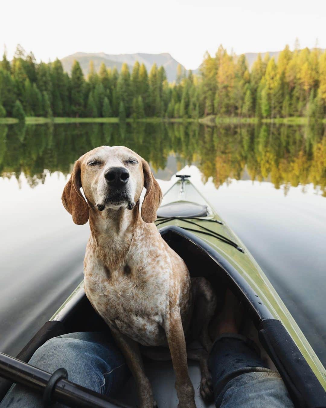 マディのインスタグラム：「Sometimes Maddie sits this way and stares at my while I paddle but I don’t mind cause she sweet as a dang sunset」