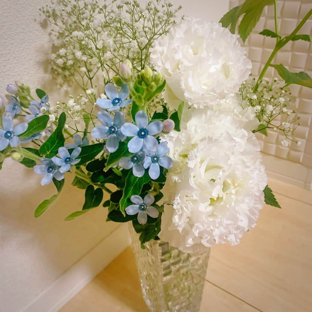 児玉菜々子さんのインスタグラム写真 - (児玉菜々子Instagram)「好きなお花ばかりの花束💐  見るだけで嬉しい気持ちになるよね☺️ 早く生け花教室いきたい🌸  #花束 #flowers  #トルコキキョウ #ブルースター #かすみ草 #花 #instalike  #followme」7月23日 23時45分 - nanaco.conana