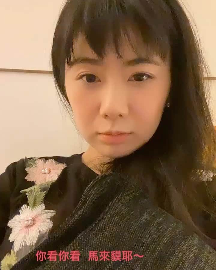 福原愛のインスタグラム：「久しぶりに声出して笑いました🤣 あまりにおもしろかったので投稿しました🌱 いつも仲良くしてくれているチェンさんの作品です(まーらいもー) 好久沒有這樣爆笑了😂 #實在是太好笑了決定給這個影片一個家 #馬來貘  #laimo @chiang111222  @cherngyang」