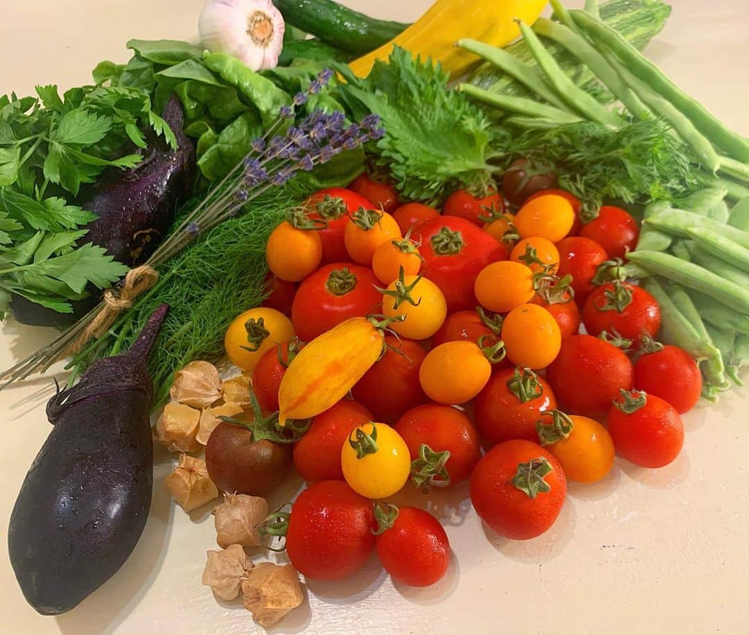のインスタグラム：「来たーっ2020年最初のLaLaLaBox🍅💚 楽しみだった収穫時期となり、ボックスが届くと、毎度いろんな感動に叫んでまう。6年目？になっても。笑 ニセコの大地で、自然循環栽培で育まれた命たち。今年も美味しく丁寧に頂きますぞ😋Thank you!@lalalafarm   #lalalafarm #vegetables  #nomakitchen #food #creativefarmer #オンラインショップも準備中」