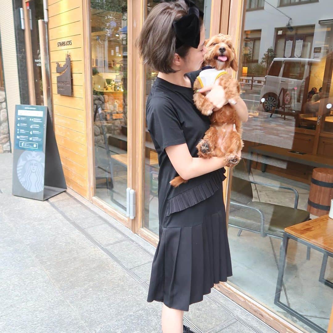yuiさんのインスタグラム写真 - (yuiInstagram)「. .タイミングよく、　@0621chiiiiiiiyo の所の🐩に会えました🥺💛 僕ちんは1歳で、トイプー、チワワ、ダックス、シーズ🐶のミックス🐶 . 赤ちゃんのワンチャンて、本当に可愛い。 . 抱っこしてたら、眠たいみたいで、寝そうになってた😭❤️  #ミックス犬#福マロココショパン」7月23日 23時58分 - yuiram